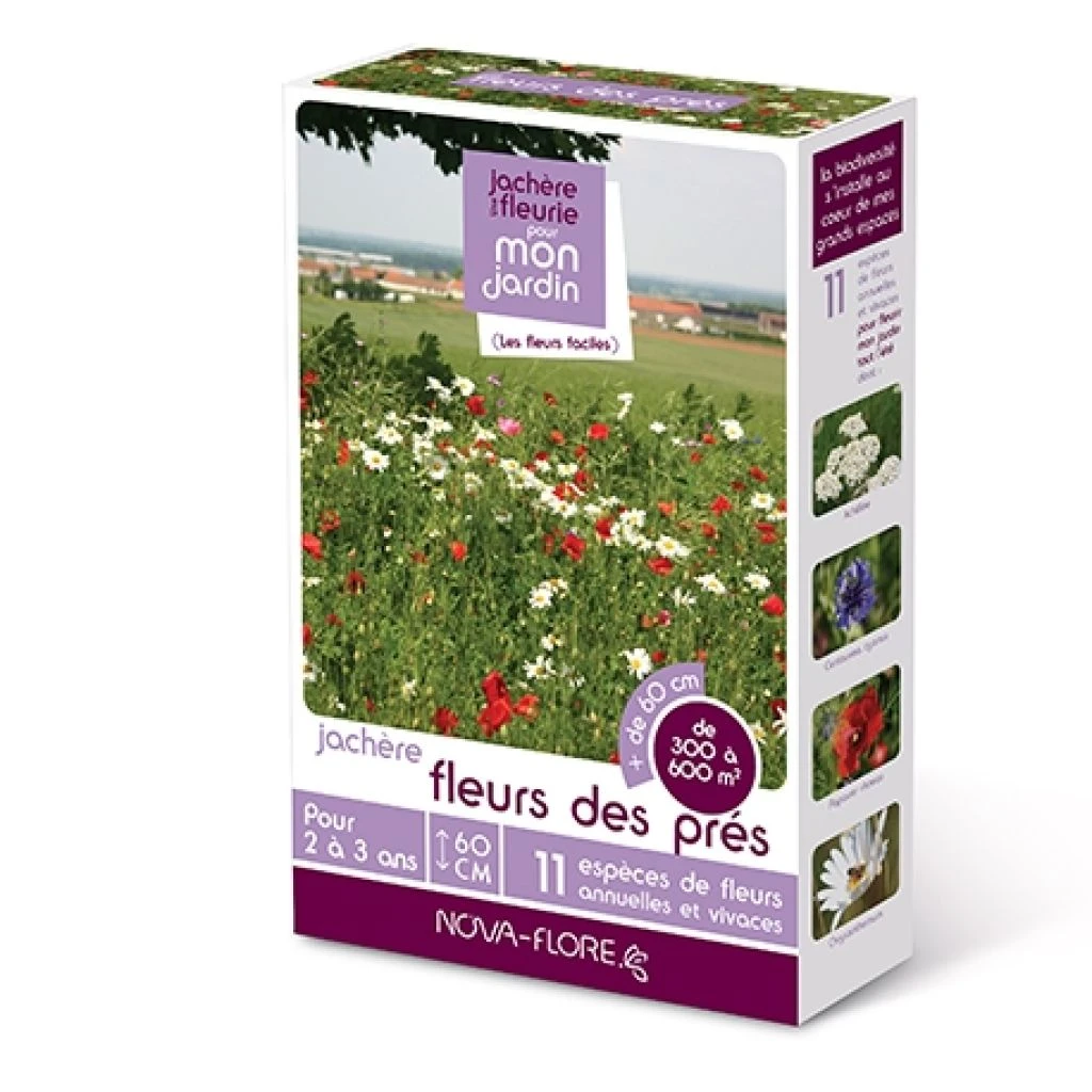 Jachère Fleurs Des Près 1 Jachère Fleurs Des Près
