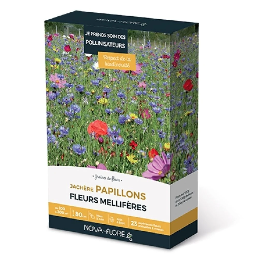 Jachère Papillons 1 Jachère Papillons