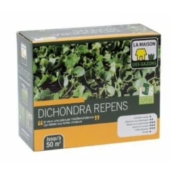 Graines De Dichondra Repens